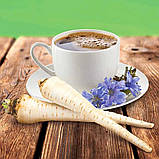 Насіння Кавовий цикорій 1г / Anseme, фото 2