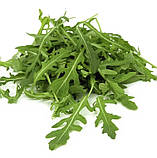 Насіння Рукола (рокет салат) 1г / Hem Zaden, фото 2