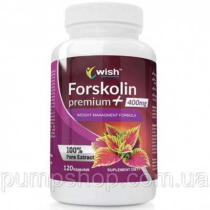 Колеус форсколії (форсколін) Wish Pharmaceutical Forskolin Premium+ 400 мг 120 капс., фото 2