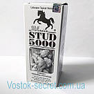 STUD 5000 — спрей для продовження статевого акту. Індія. 20г, фото 3