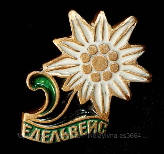 Значок СССР "Эдельвейс" цветок, цена 26 грн — Prom.ua (ID#1547722308)