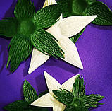 Молд "Чашелистолик" 15 см для паросткових квітів, фото 3