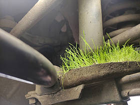 Ремонт ходової частини КІА Діагностика