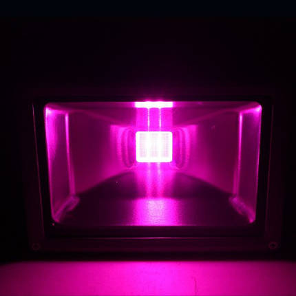 Світлодіодний фітопрожектор SL-30G 30W IP65 (full spectrum led) Код.58578, фото 1