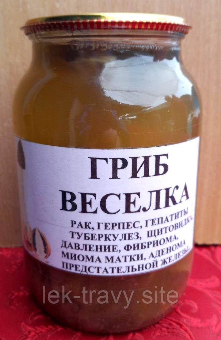 Веселка Гриб Купить Оптом