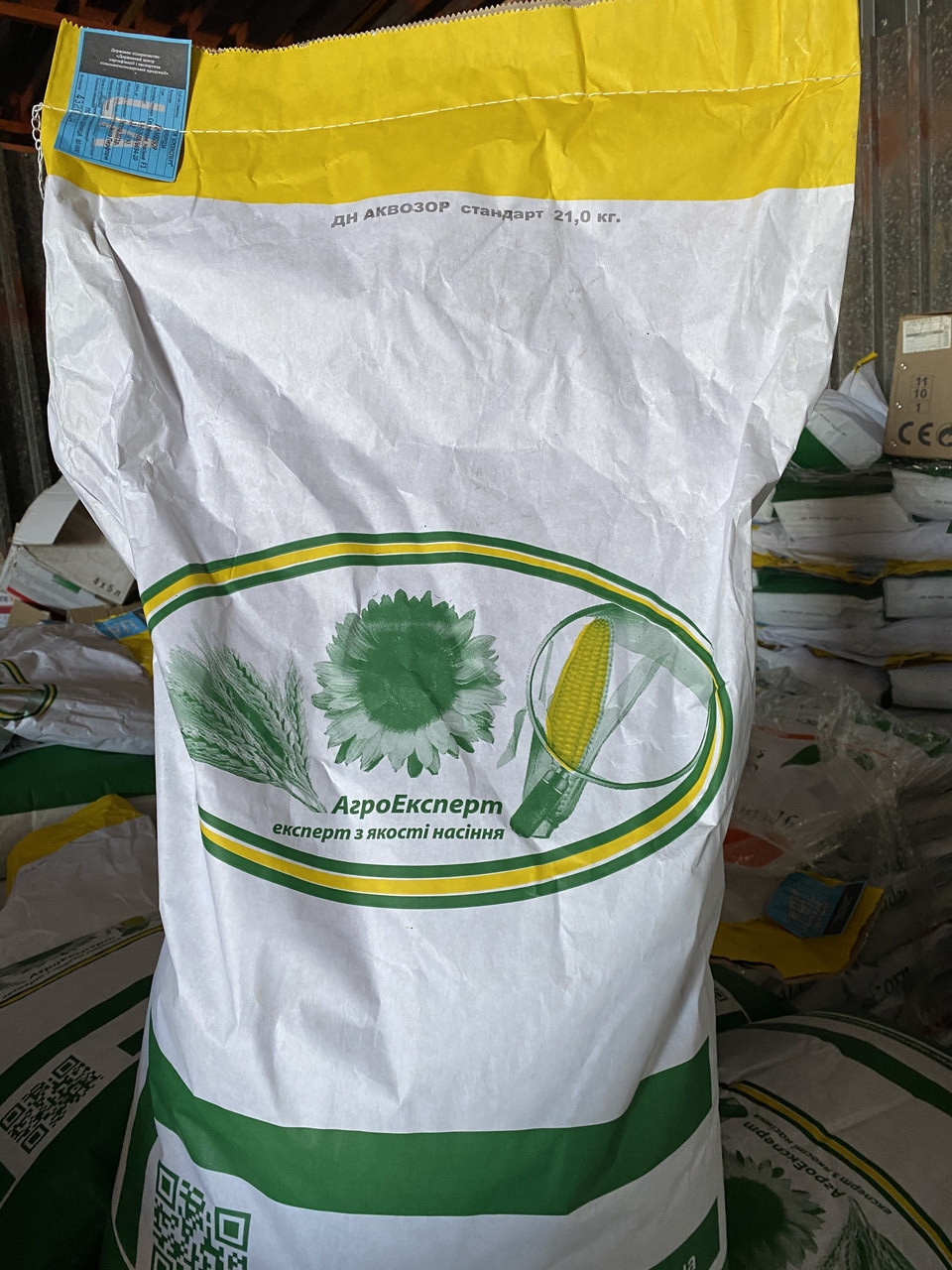 Насіння кукурудзи ДН Аквозор ФАО 320 Агроексперт, фото 1