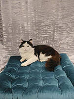 Матрац-подушка для собак та кішок