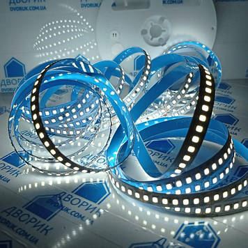 Світлодіодна стрічка AVT 24V 6000К SMD2835 168LED IP20 13W/m Холодний білий