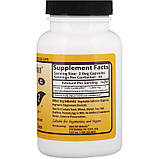 Біла Квасоля Фаза 2 (White Kidney Bean) 500 мг, фото 2
