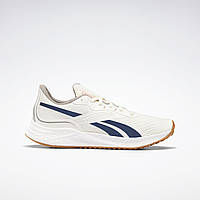 Чоловічі кросівки Reebok Floatride Energy Grow (Артикул:G55952)