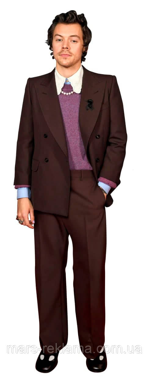 Ростова фігура Гаррі Стайлз. Ростова фігура з будь-яким зображенням під замовлення