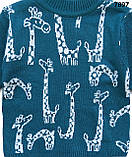 Кофта "Жирафи" для хлопчика. 1-2; 3-4 роки, фото 3