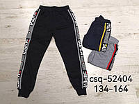 Спортивные брюки для мальчиков оптом, Seagull, 134-164 рр., арт. CSQ-52404