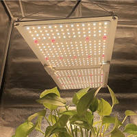 Светодиодная фитопанель LED Grow-Finder 200Вт для выращивания растений