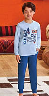 Пижамы для мальчика Baykar Байкар турецкая детская трикотажная хб пижама на мальчиков гонки голубая 9787-105