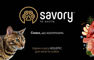 Savory (Сейвори)