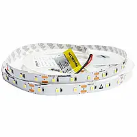 LED лента Rishang SMD2835 60шт/м 12W/м IP33 12V 6500K RN0060TA-A 10630