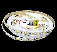LED стрічка RISHANG SMD5050 60шт/м 10.8W/ IP20 24V WW/CW RD0060AC-B 10900
