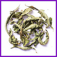 Вербена лимонная листья вербены целые натуральный травяной чай 250 г PL