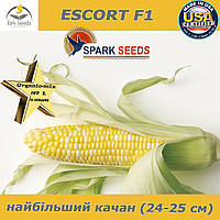 Кукурудза біколор (двоколірна) цукрова ескорт F1, 2500 насіння, ТМ Spark seeds (США)