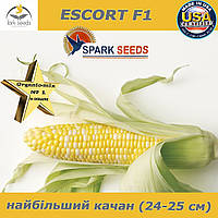 Кукурудза біколор (двоколірна) цукрова ескорт F1, 25 000 насіння, ТМ Spark seeds (США)
