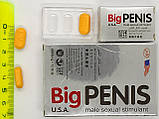 Біг Пеніс препарат для підвищення потенції чоловіків Big Penis (12 таблеток), фото 3