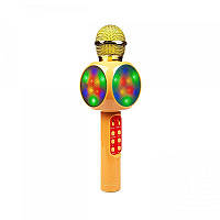 Караоке-мікрофон Optima Wster MK-2 Gold (WS-MK-2-GD)