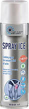 Спрей High Tech Aerosol Spray Ice 500мл (1013) (4820159542871)