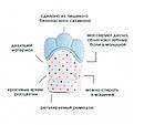 Прорізувач для зубів PK-0119 Рукавичка гризунок Блакитна, фото 2