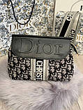 Жіноча сумка Dior чорна, фото 3