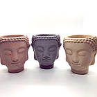 СВВ - 500 зміцнювач гіпсу, фото 6