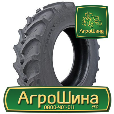Сільгосп шина Tianli AG-R 800/70R38