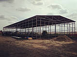 Навіс промисловий із профільованого листа для виробництва або складу, фото 9