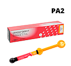 Композитний пломбувальний матеріал GC Gradia Direct (градія директ) PA2 шприц 4.0 г., фото 2