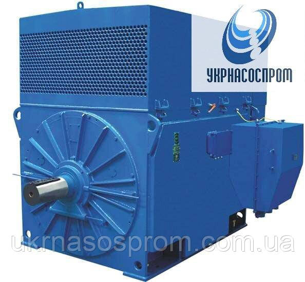 Електродвигун ДАЗО4-500УК-6У1 500 кВт 1000 об/хв