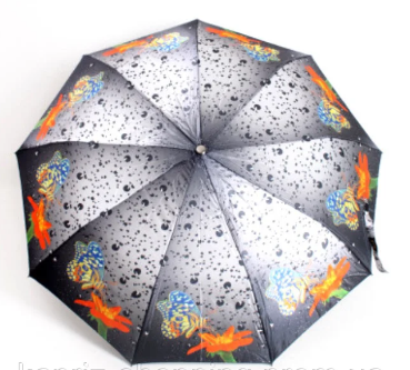 Парасолька жін. напівавтомат №M444(12)(48)