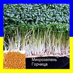 Мікрозелень Насіння Гірчиці   10 г   Агроцех Вершки та Коріння