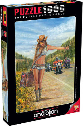 Пазли Американська комірка на 1000 елементів, фото 1