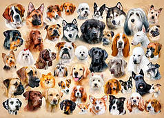 Пазли Колаж із собаками на 200 елементів