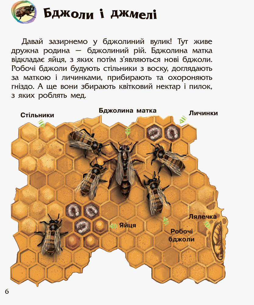 Комахи - працює єПідтримка, є набори за 1000 грн Склад Ума, фото 1