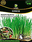 Насіння Мікрозелень Просо, Мікрогрін 20г. WoS