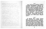 Улыбнись, обнимая ёжика! Смешные истории из приходской жизни и не только. Фомин А. В., фото 3