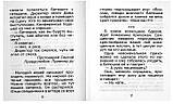 Улыбнись, обнимая ёжика! Смешные истории из приходской жизни и не только. Фомин А. В., фото 4
