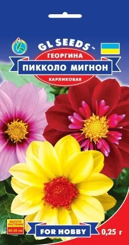 Насіння Жоржина Пікколо Мигнон (0,25 г) ТМ GL SEEDS For Hobby, фото 1