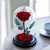 Роза в колбе с LED подсветкой МАЛЕНЬКАЯ красная! Лучшая цена