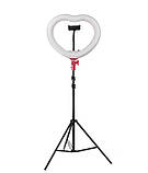 Світлодіодна лампа біла яскрава 2 режими серце 33 см зі штативом 2м 18 Вт, кільцева лампа для фото лампа LED тепле холодне світло, фото 3