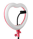 Світлодіодна лампа біла яскрава 2 режими серце 33 см зі штативом 2м 18 Вт, кільцева лампа для фото лампа LED тепле холодне світло, фото 7