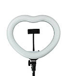 Світлодіодна лампа біла яскрава 2 режими серце 33 см зі штативом 2м 18 Вт, кільцева лампа для фото лампа LED тепле холодне світло, фото 6