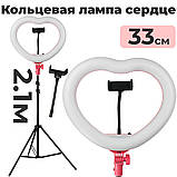 Світлодіодна лампа біла яскрава 2 режими серце 33 см зі штативом 2м 18 Вт, кільцева лампа для фото лампа LED тепле холодне світло, фото 2