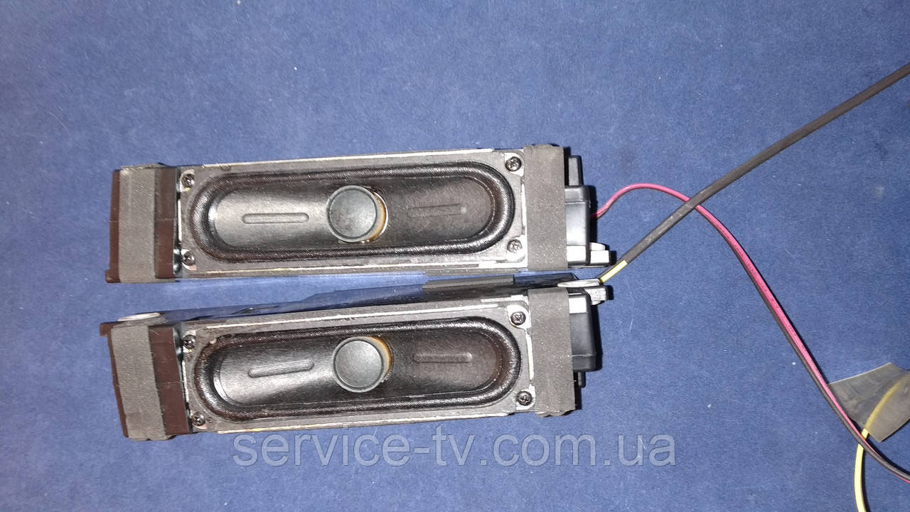 Динаміки BN96-21669B від телевізора Samsung UE40H5307K, фото 1